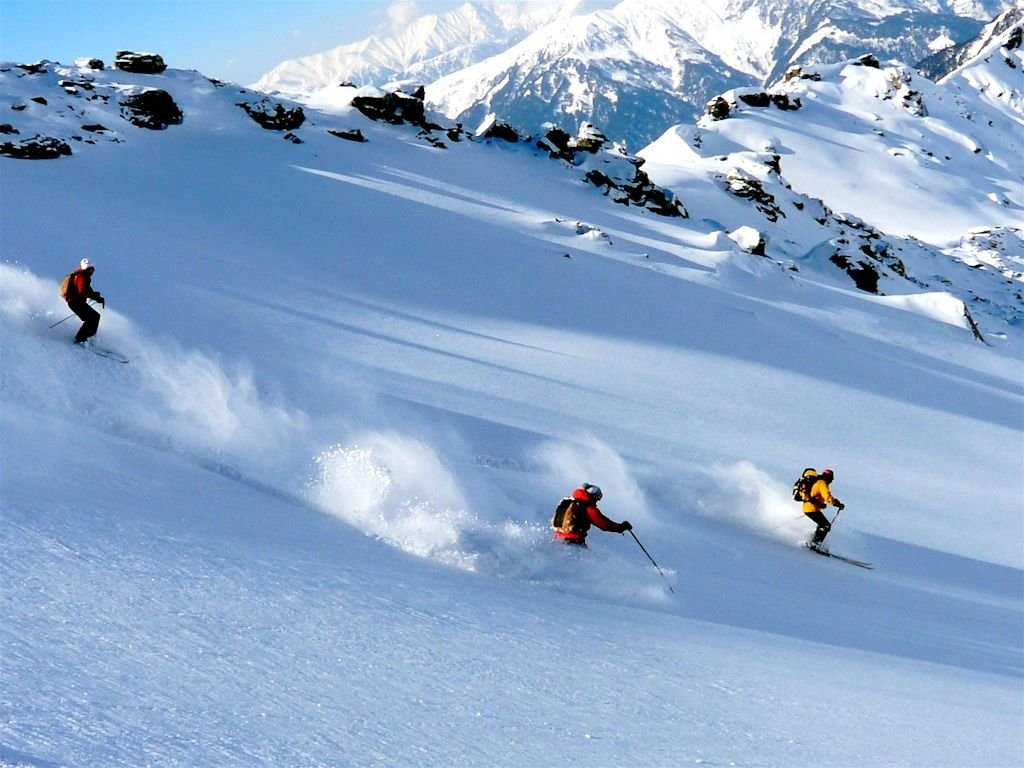 Auli