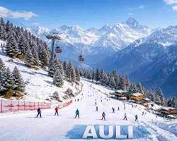Auli