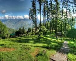 Dhanaulti